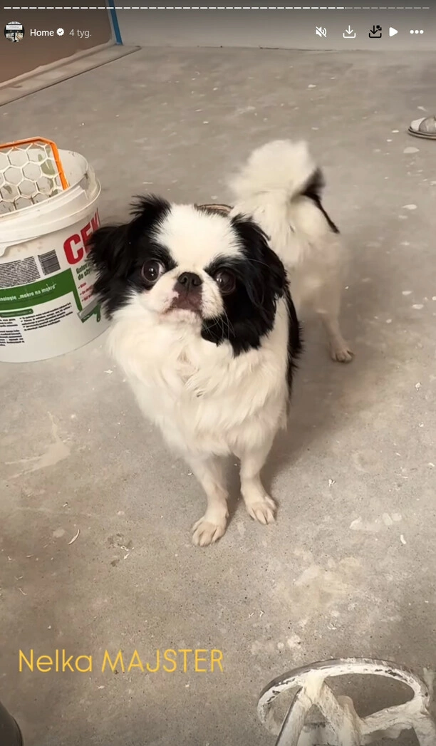 Nowe mieszkanie Angeliki Żmijewskiej! Zobacz, jak gwiazda Topky realizuje swoje marzenia o własnym domu