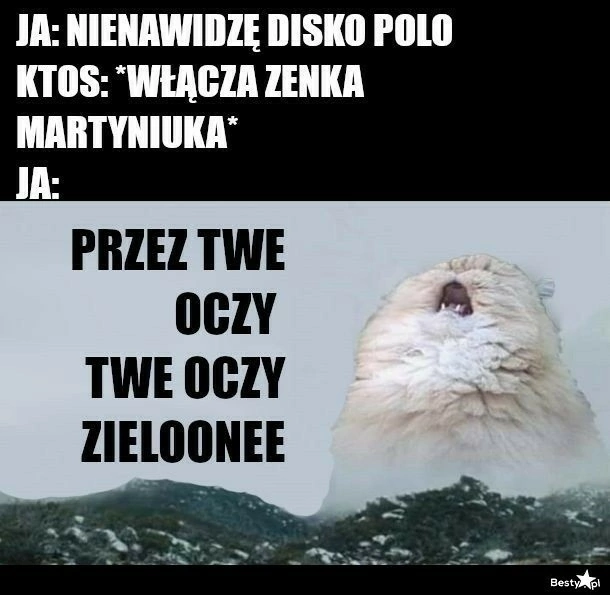 Nie przegap! To najzabawniejsze memy o disco polo?! Który jest Twoim ulubionym?