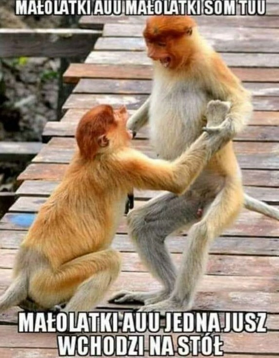 Nie przegap! To najzabawniejsze memy o disco polo?! Który jest Twoim ulubionym?