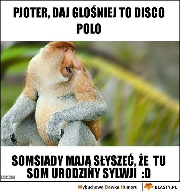 Nie przegap! To najzabawniejsze memy o disco polo?! Który jest Twoim ulubionym?