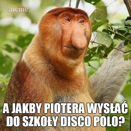 Nie przegap! To najzabawniejsze memy o disco polo?! Który jest Twoim ulubionym?