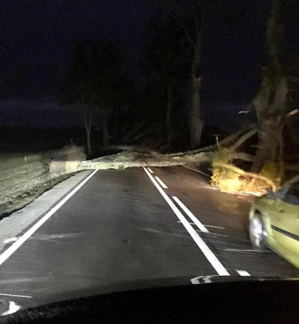 Dramat na drodze! Wielkie drzewo spadło przed autem uwielbianej grupy disco polo Mejk! Co z artystami?! 