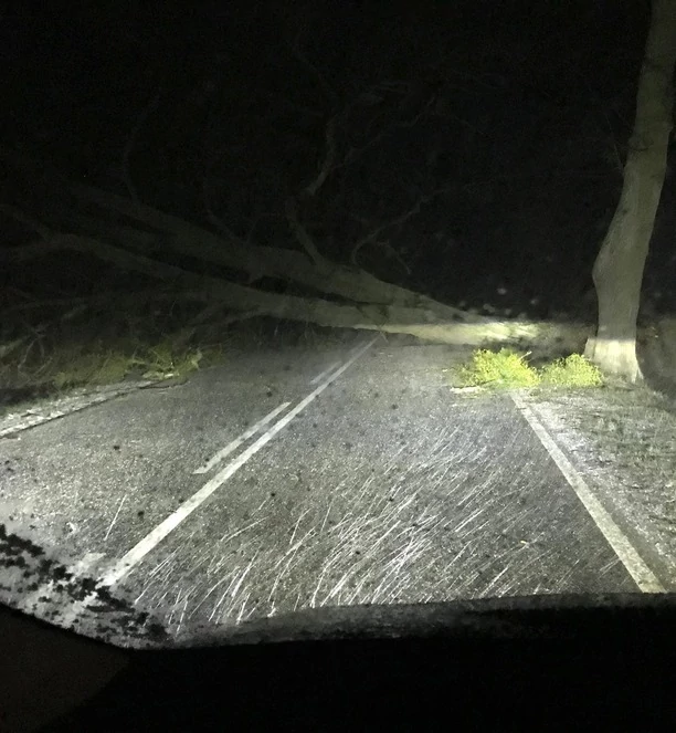 Dramat na drodze! Wielkie drzewo spadło przed autem uwielbianej grupy disco polo Mejk! Co z artystami?! 