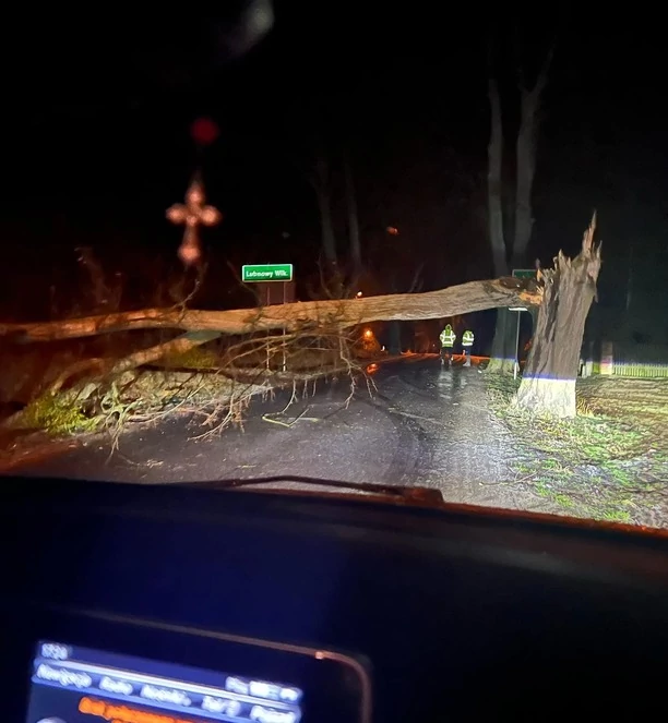 Dramat na drodze! Wielkie drzewo spadło przed autem uwielbianej grupy disco polo Mejk! Co z artystami?! 