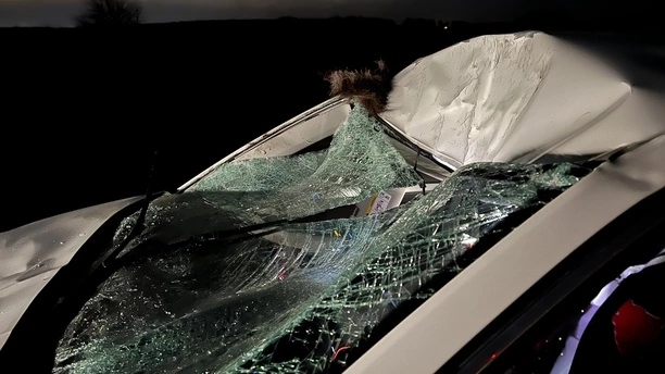 PILNE! Krok od tragedii! Groźny wypadek wokalisty disco polo! Zderzenie z 300-kilogramowym łosiem! Zobaczcie zdjęcia z miejsca wypadku!