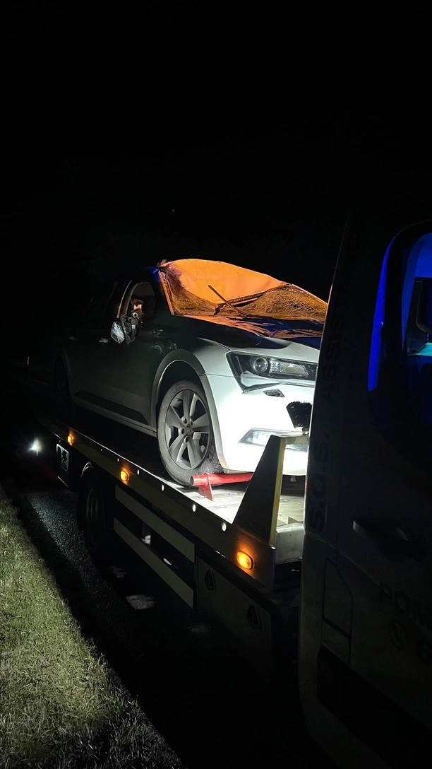 PILNE! Krok od tragedii! Groźny wypadek wokalisty disco polo! Zderzenie z 300-kilogramowym łosiem! Zobaczcie zdjęcia z miejsca wypadku!