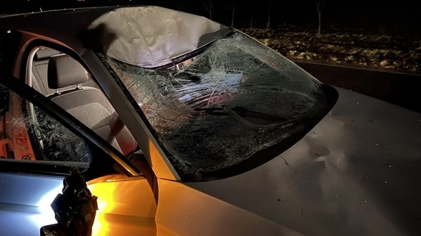 PILNE! Krok od tragedii! Groźny wypadek wokalisty disco polo! Zderzenie z 300-kilogramowym łosiem! Zobaczcie zdjęcia z miejsca wypadku!