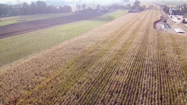 Szok! Iness gwiazda disco polo prowadzi 80 hektarowe pole! To prawdziwa królowa życia! 