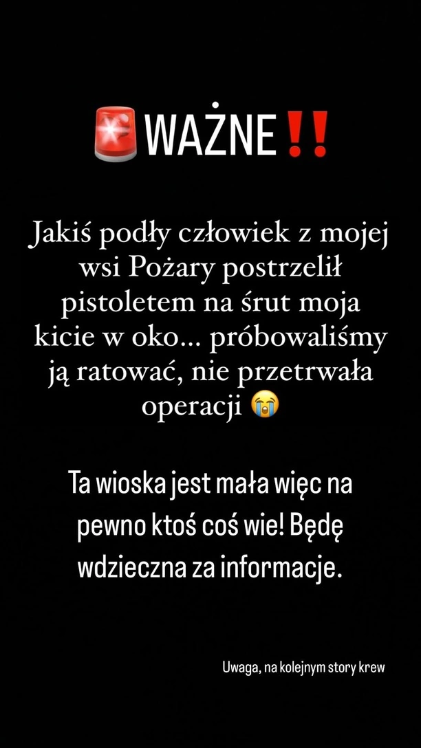 Horror znanej wokalistki disco polo! Ktoś postrzelił Jej kota w oko! Zwierzę zmarło, trwają poszukiwania zbrodniarza!
