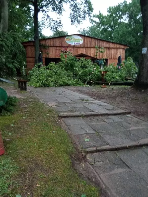 Nawałnica powaliła drzewa w miejscu popularnych koncertów disco polo! Dramatyczne zdjęcia! 