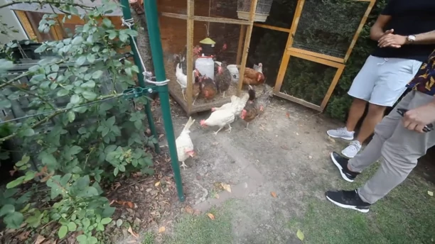 Zobacz, jak luksusowo mieszka Skolim! Jego dom skrywa tajemnice, o których nie miałeś pojęcia!