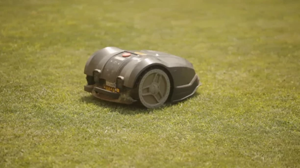 Zobacz, jak luksusowo mieszka Skolim! Jego dom skrywa tajemnice, o których nie miałeś pojęcia!