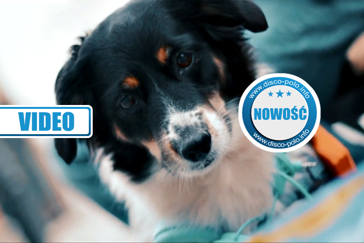 Premiera: Zanoza – Pies GPS | VIDEO