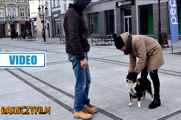 Making of: Zanoza przygotowała nowość pt. „Pies GPS” | VIDEO