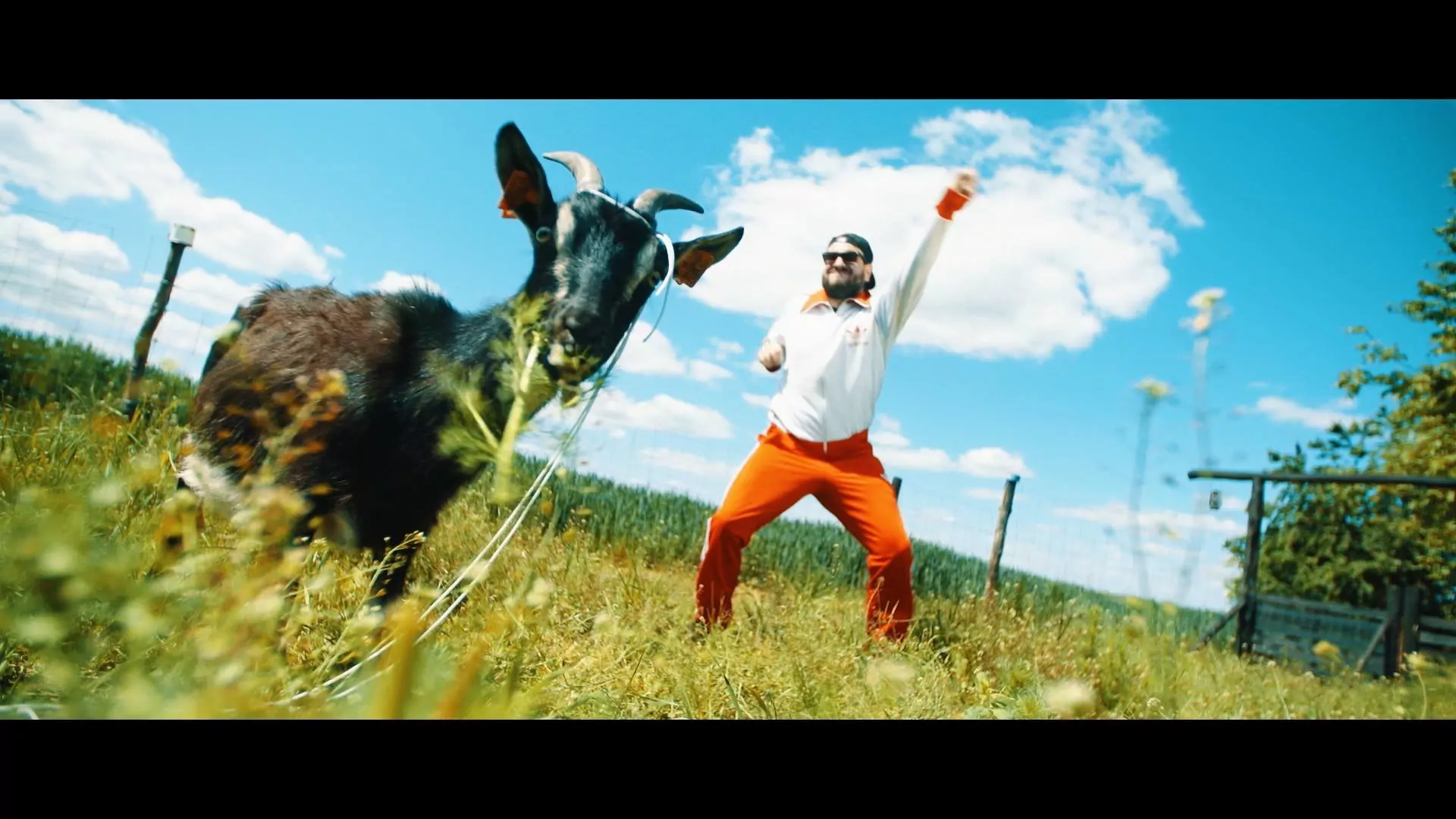 Piosenka disco polo na Polska Viral 50 Spotify! 