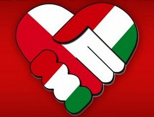 Disco Polo coraz popularniejsze za granicą. Wielki hit po Węgiersku | VIDEO