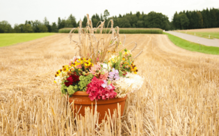 Disco polo i dożynki: Polska w rytmie muzyki tanecznej!