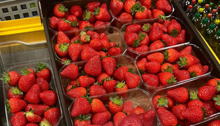 Do sieci trafiło zdjęcie pierwszych polskich truskawek. Cena przeraża!