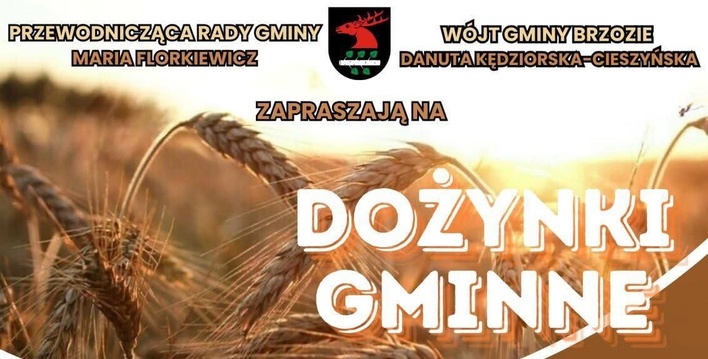 Dożynki Gminne w Brzoziu 2025 z zespołem Defis