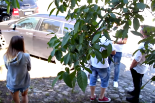 Lada moment na rynku disco polo będzie dostępne Zioło! 