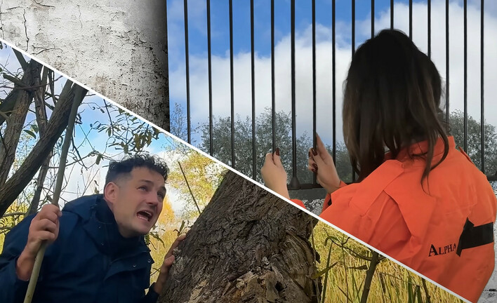 Letni parodiują „Dziewczyno piękna”. Skolim skomentował przeróbkę! Fani intensywnie reagują na wypowiedź! 

