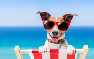 Niesamowite! Uczniowie dostaną najdłuższe wakacje w historii! Przekonaj się, kiedy rozpoczną się!