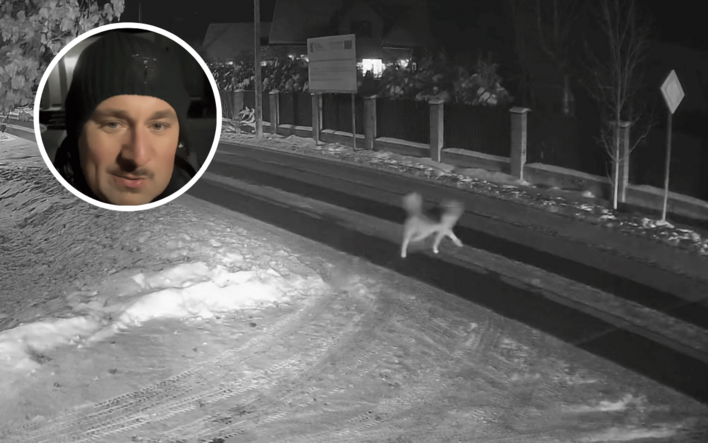 Okrutne bestialstwo pod domem Marka Biedrzyckiego – gwiazdy disco polo: Porzucone psy w mroźną noc! Zobaczcie nagranie!