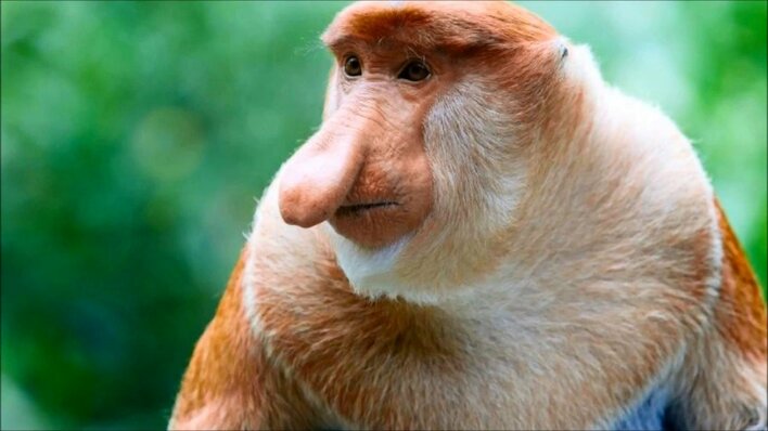 Popularny zespół disco polo nagrał utwór o Nosaczach! To hit internetu!