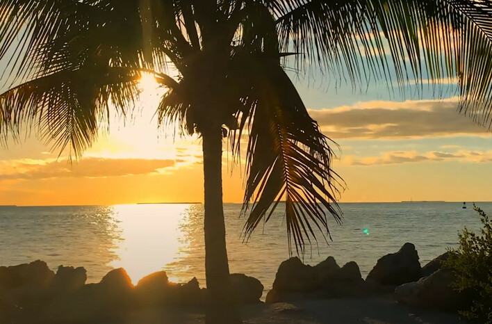 Toskański z nową letnią premierą! Wokalista disco polo zaskakuje kolejnym hitem na majówkę!