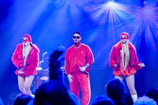 XOXO i Łobuzy w finale Disco Star 2026! Zobaczcie ich niesamowity występ! 