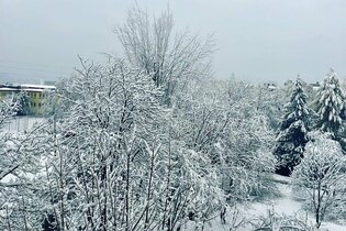Zgadnijcie, który artysta ma taki widok za oknem. A Wy, jakie macie? Wklejcie zdjęcie w komentarzu