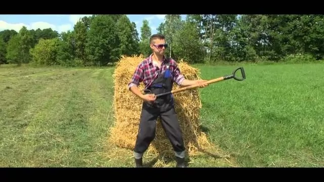 Dance Project - Rolnik