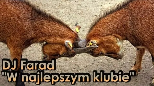 DJ Farad - W najlepszym klubie