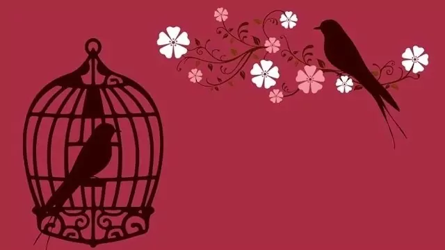 DJ Farad - Laska jak z obrazka