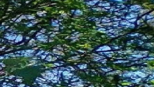 GULI - Jesteś Dziewczyna