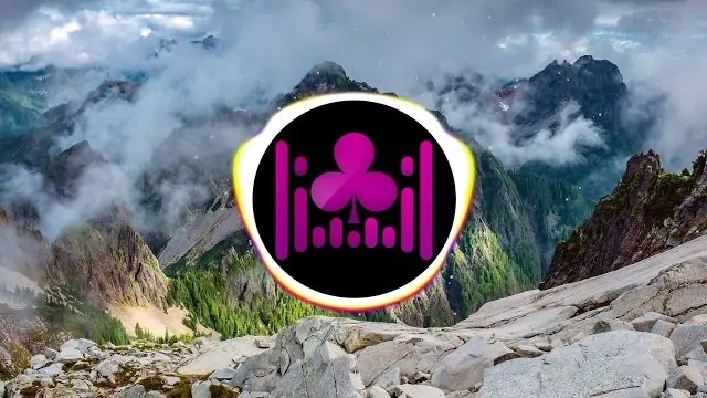 DEFIS - Czy ty weźmiesz ze mną ślub (Leśny remix)