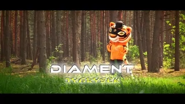 Diament - Tygrysek