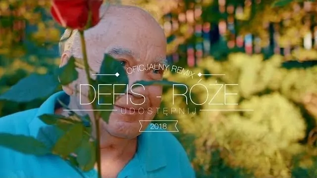 Defis - Róże (Tr!Fle & LOOP & Black Due REMIX)