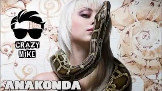 CRAZY MIKE - Anakonda