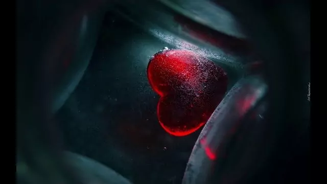 Rizer - Kocham ciebie za nic