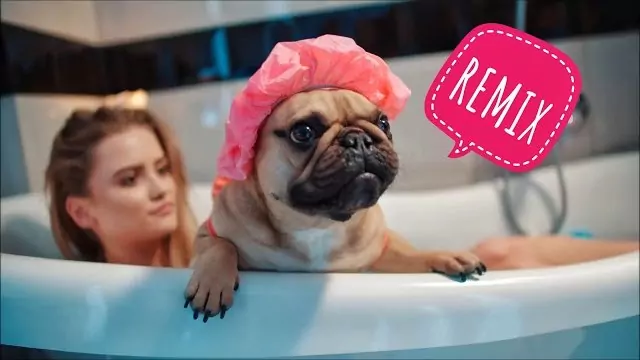 MACZO - Jedwabiste włosy (Tr!Fle & LOOP & Black Due Remix)