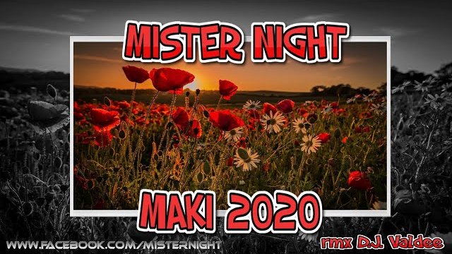MISTER NIGHT - MAKI 2020 (rmx DJ Valdee)