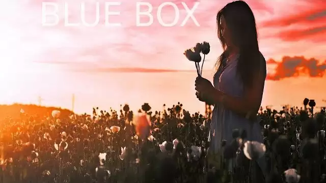 BLUE BOX - O białych różach