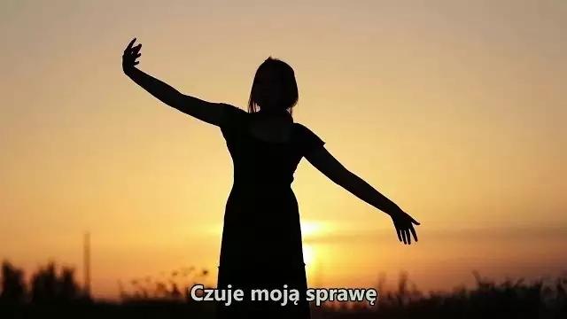 DJ Farad - Lepsza niż grzybowa (rasowa Sowa)