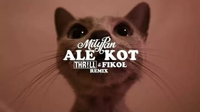 MiłyPan - Ale Kot (THR!LL & FIKOŁ REMIX) 2020