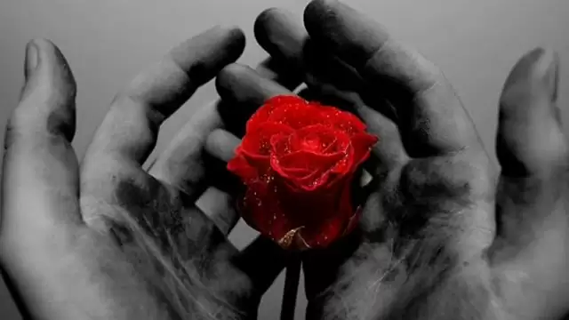 Xfort - Spełnione Marzenia