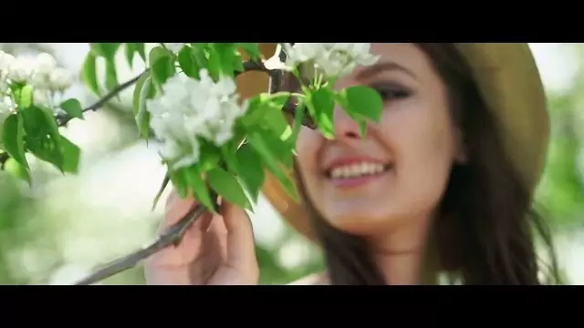 Van Davi - Promieniem słońca