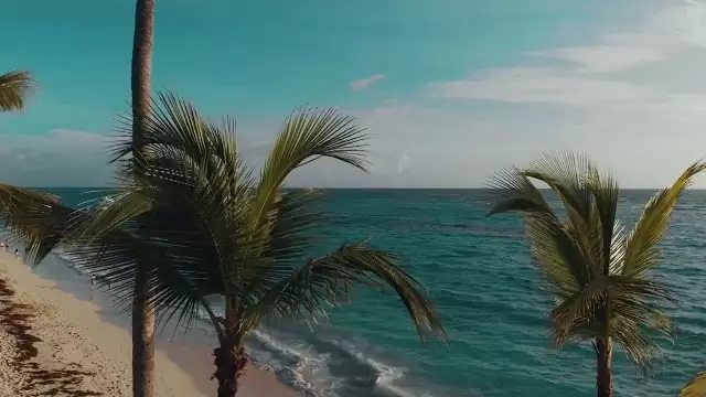 After Party - To Były Piękne Dni 2020