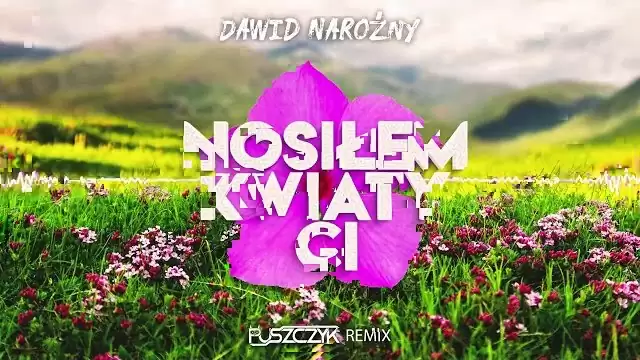 Dawid Narożny - Nosiłem Kwiaty Ci (Puszczyk Remix)