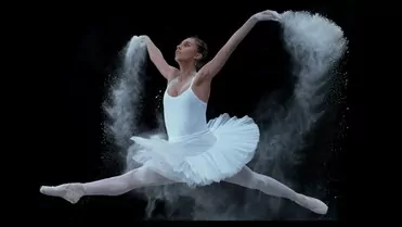 ANDRE - BIAŁE ŁABĘDZIE 2022